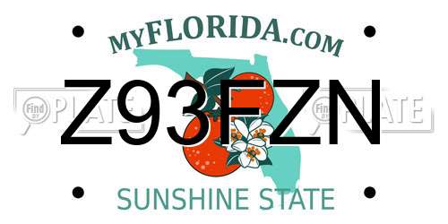 Z93FZN Florida License Plate