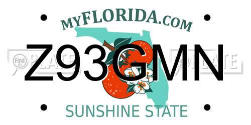 Z93GMN Florida License Plate