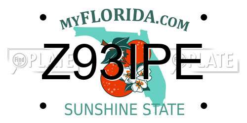 Z93IPE Florida License Plate