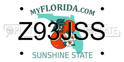 Z93JSS Florida License Plate