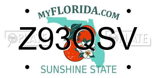 Z93QSV Florida License Plate