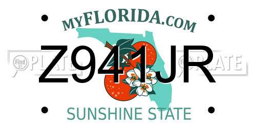 Z941JR Florida License Plate