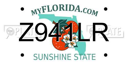 Z941LR Florida License Plate