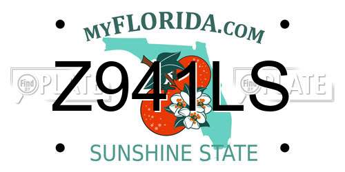 Z941LS Florida License Plate