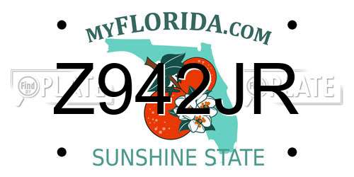 Z942JR Florida License Plate