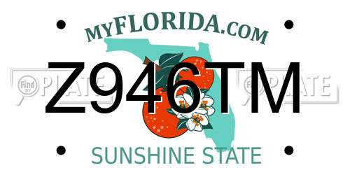 Z946TM Florida License Plate