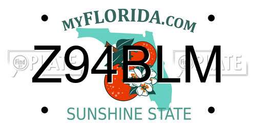 Z94BLM Florida License Plate