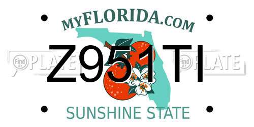 Z951TI Florida License Plate