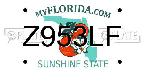 Z953LF Florida License Plate