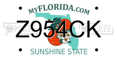 Z954CK Florida License Plate