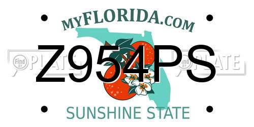 Z954PS Florida License Plate