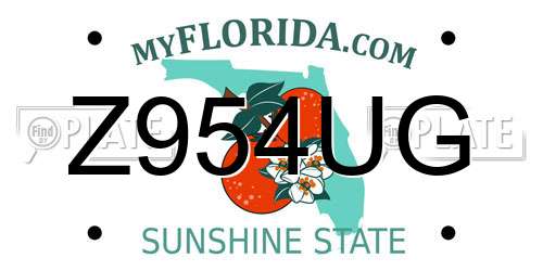 Z954UG Florida License Plate