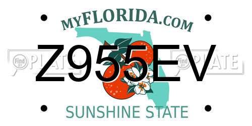 Z955EV Florida License Plate