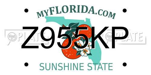 Z955KP Florida License Plate