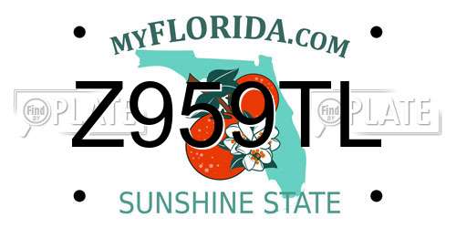 Z959TL Florida License Plate