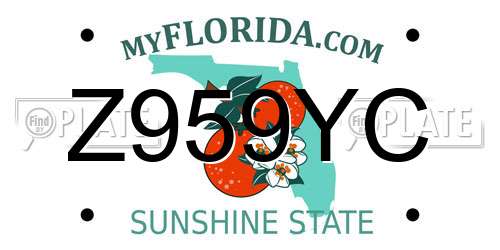 Z959YC Florida License Plate