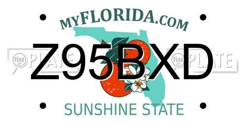 Z95BXD Florida License Plate