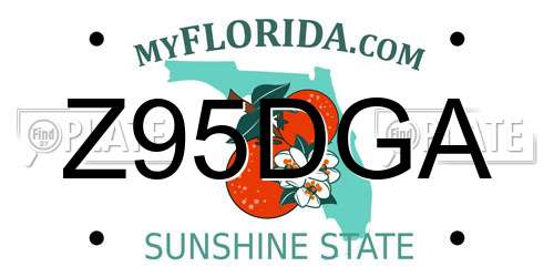 Z95DGA Florida License Plate