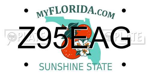 Z95EAG Florida License Plate