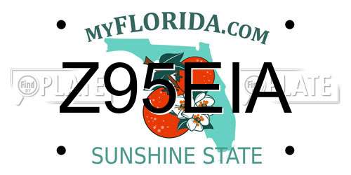 Z95EIA Florida License Plate