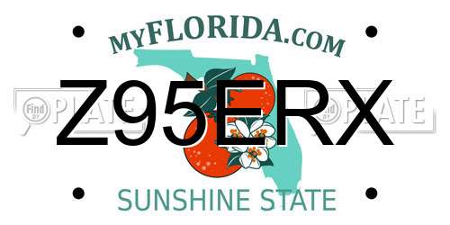 Z95ERX Florida License Plate