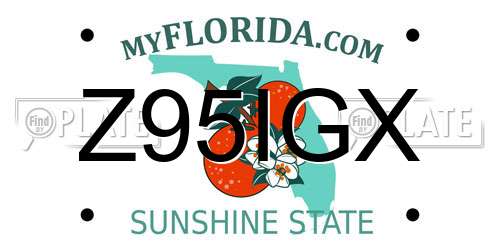 Z95IGX Florida License Plate