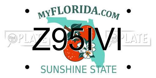 Z95IVI Florida License Plate