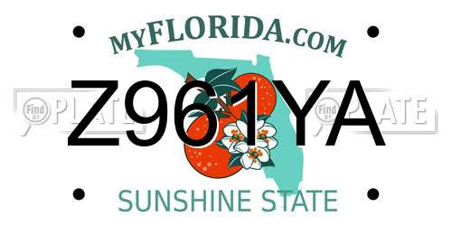 Z961YA Florida License Plate