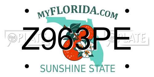 Z963PE Florida License Plate