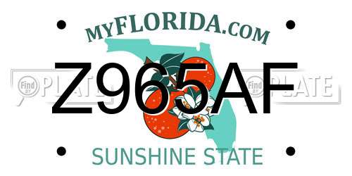 Z965AF Florida License Plate