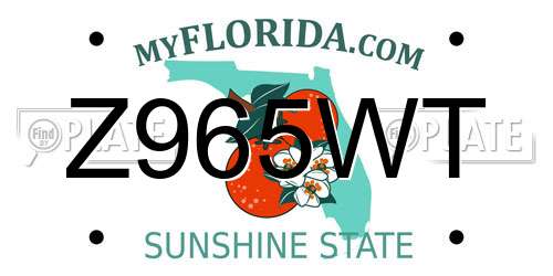 Z965WT Florida License Plate