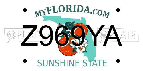 Z969YA Florida License Plate
