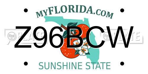Z96BCW Florida License Plate