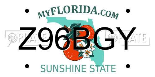 Z96BGY Florida License Plate