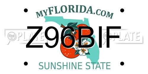 Z96BIF Florida License Plate