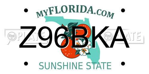 Z96BKA Florida License Plate