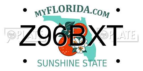 Z96BXT Florida License Plate
