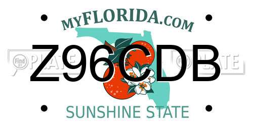 Z96CDB Florida License Plate