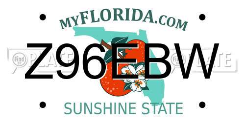 Z96EBW Florida License Plate