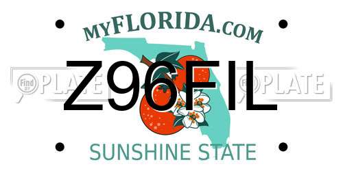 Z96FIL Florida License Plate