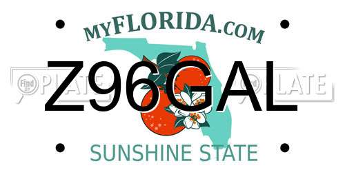 Z96GAL Florida License Plate