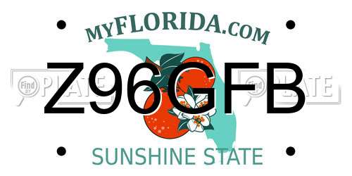 Z96GFB Florida License Plate