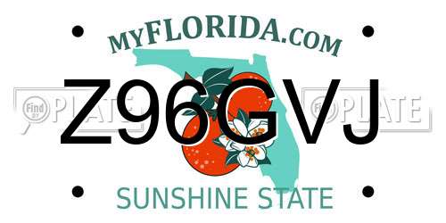 Z96GVJ Florida License Plate