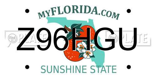 Z96HGU Florida License Plate