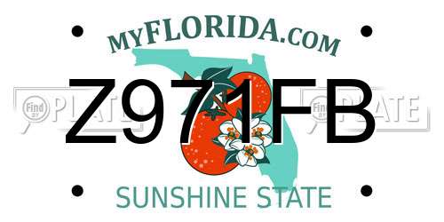 Z971FB Florida License Plate