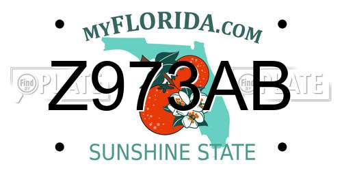 Z973AB Florida License Plate