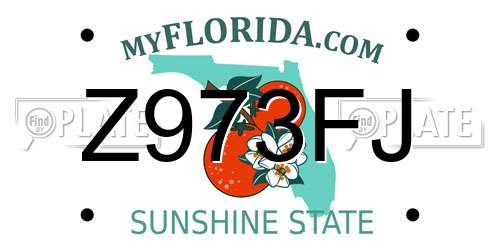 Z973FJ Florida License Plate