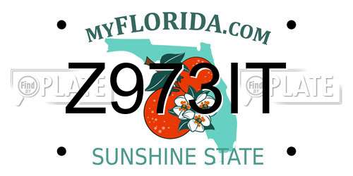 Z973IT Florida License Plate