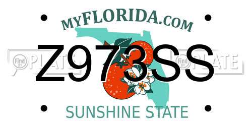 Z973SS Florida License Plate
