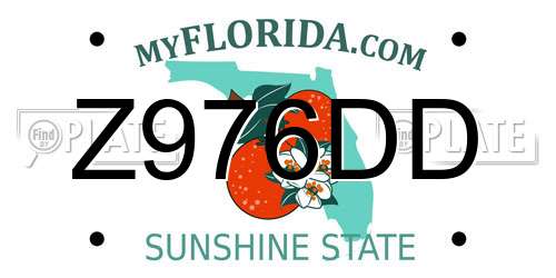 Z976DD Florida License Plate